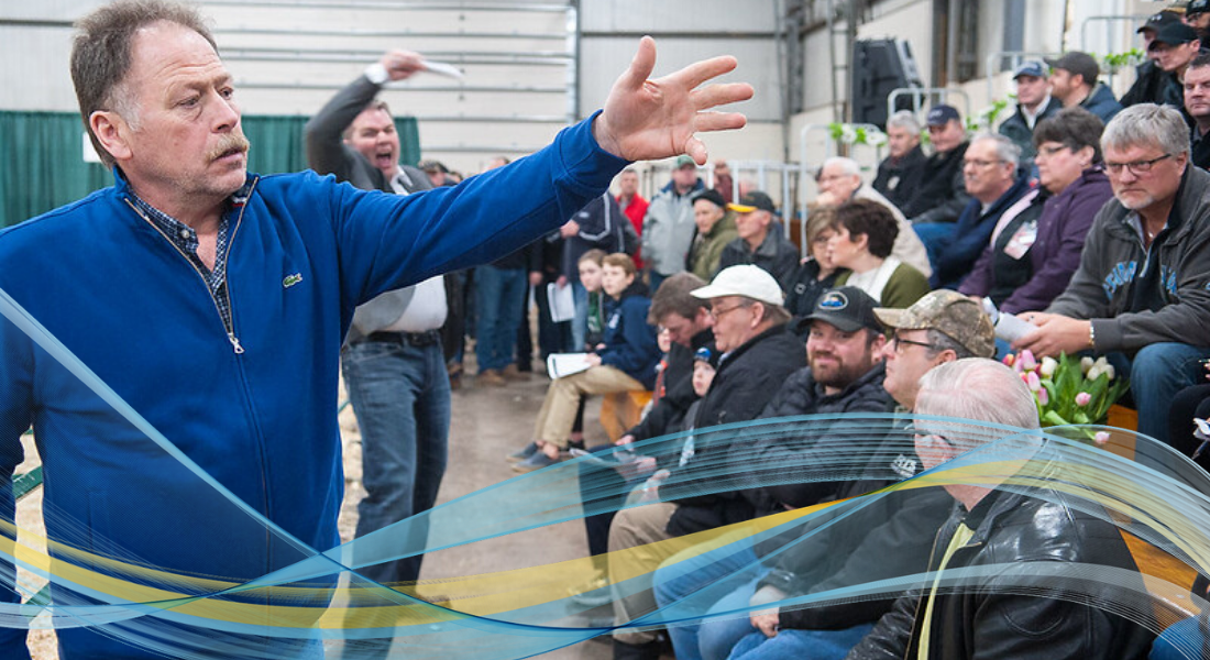 About FarmersTalk.ca image of Easter Beef live auction PEI