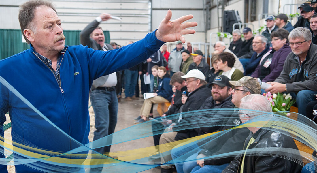 image of Easter Beef live auction PEI